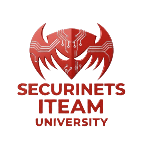 Securinets iTeam University logo